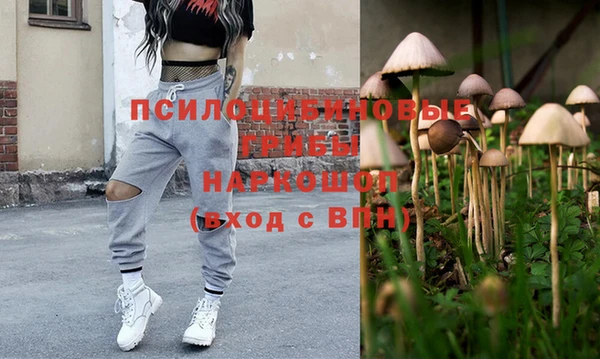шишки Краснотурьинск