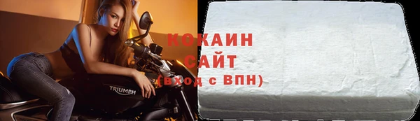 шишки Краснотурьинск