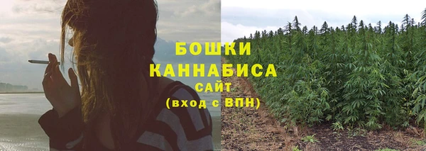 apvp Кукмор