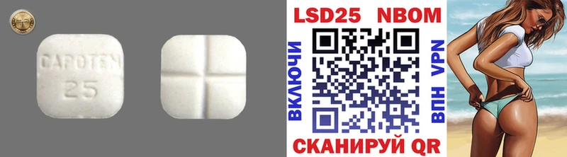 OMG онион Нолинск LSD-25 экстази кислота